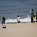 경포의휴일 이미지