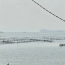 몽실민박 이미지