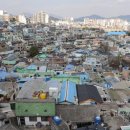 신마산반월시장 이미지