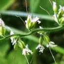 가좌근린공원 이미지