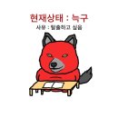 이것저것 다 있는 일상