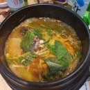 청춘회 물회 이미지