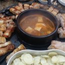 엉터리생고기 이미지