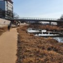 발안천 산책로 이미지