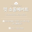 펫 소울메이트 이미지