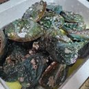 남경전복 이미지