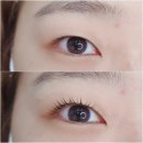 오블리속눈썹 이미지