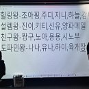 솔로몬 | 평일에도 핫한 강남 솔로파티 ‘솔로몬파티’ 다녀온 솔직후기 (서울 솔로파티)