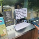 현목장 | 강원도 평창 관광 명소, (구) 대관령 삼양목장 (현) 삼양라운드힐 방문 후기