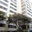 독정이로 이미지