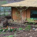 산골초가 이미지