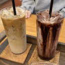 카페511