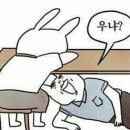 나랑한잔할래