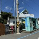 플로리다 봉봉 이미지