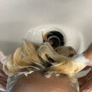 마실중(ing) | 홍대입구역 미용실 마실 홍대점 탈색모 르미네상스 클리닉 5단계 케어 후기