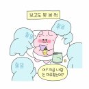 오린지 이미지