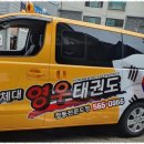 한국체대영우태권도