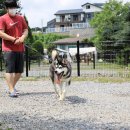 물동네 힐링 야영장 이미지