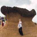 펀트립 | 대만 타이베이 여행 예스폭지 펀트립 버스투어 코스, 내돈내산 후기