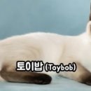 샴