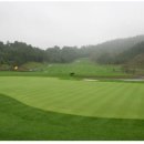 함평엘리체CC 이미지