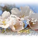청석공인중개사사무소 이미지