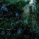 반딧불이 이미지