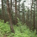 거창-신원-5 이미지