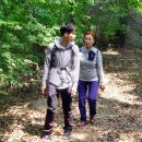 소정면사무소 이미지