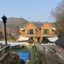 콩밭매는댕댕이 | 충남 애견동반 펜션 대형견도 가능한 대전 근교 펜션 '콩밭매는 댕댕이'