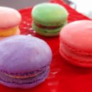 DaDogDaDog 애견카페 이미지