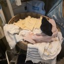 집생각 | 생각하는집 무형광세탁망 후기 | 쌍둥이맘의 찐 솔직 리뷰 (feat. 장단점 총정리)