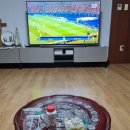 서영농장 | 7월 15일(월요일)] 집에서 UEFA 유로2024 결승전 스페인 대 잉글랜드의 서영대전(西英大戰) 경기 시청 후기