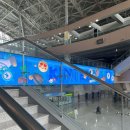 The Fly 1 | 251108 FLY TO THE SKY 환희 세바여 일산공연 실물후기