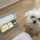 베베랑스 | 임신 31주-32주 볼륨매직 단백뇨 얼스빕 베이비페어