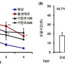 국내 자생식물 ‘기린초’, 치매 주요 증상 예방‧완화 효과 확인 이미지