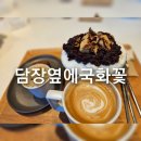 우와빈 | 담장옆에국화꽂 ♡내돈내산♡