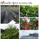 영아농장 이미지