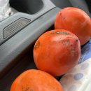 [동락점빵 이동장터 이야기] 11월 20일 운행기록 이미지