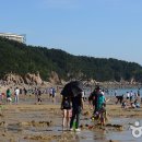 왕산해수욕장 이미지