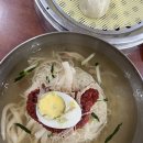 [ 마산 맛집 ] 댓거리 장수촌 밀면 경남대 맛집 주차 메뉴 정보