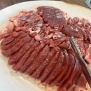 하계생오리 이미지