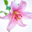 성암노인복지센터 | 강원특별자치도 동해시, 태백시, 속초시, 삼척시 주･야간보호서비스(어르신유치원)