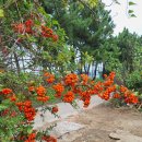 승리농장 | 주말농장 소식 39 (25.10.19)