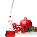 건강사랑 이미지