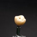 어울림치과기공소 이미지