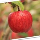 우진영농조합법인 이미지