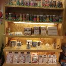 허브나무 이미지