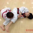 제석태권도 이미지