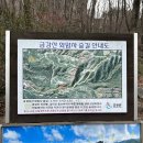 금강산브레드 이미지